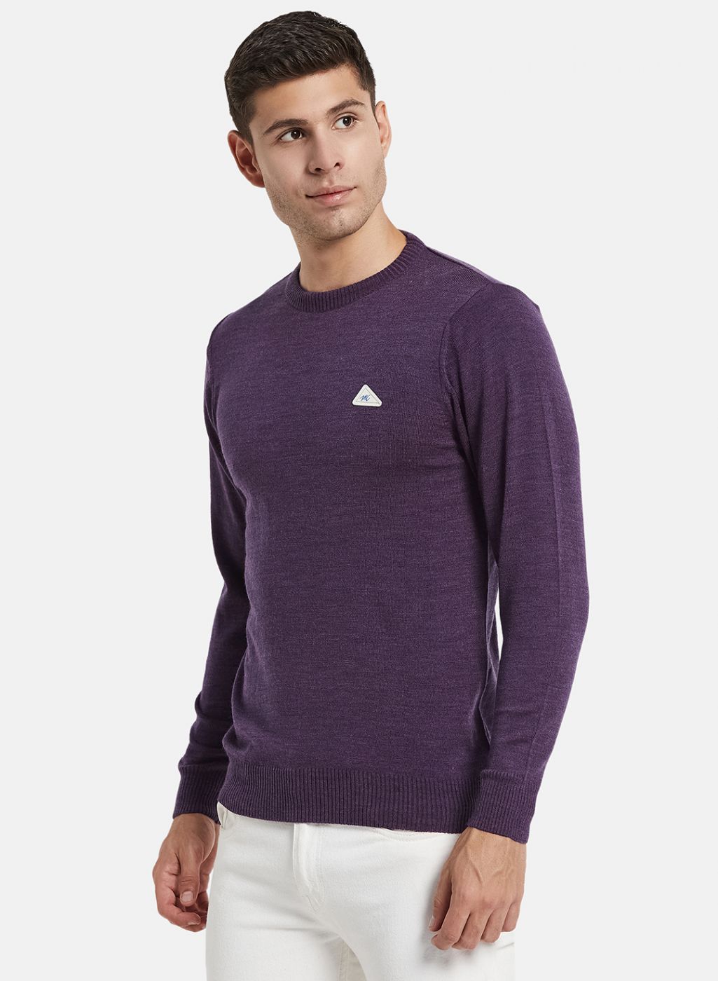 Men Purple Solid Pullover