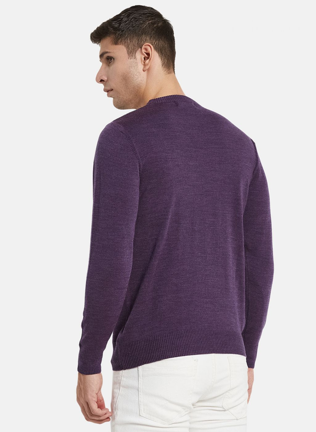 Men Purple Solid Pullover