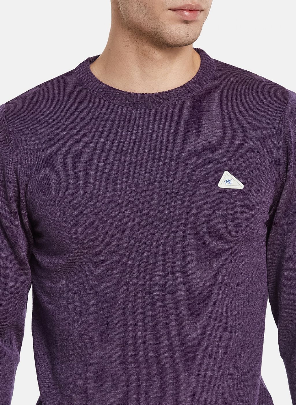 Men Purple Solid Pullover