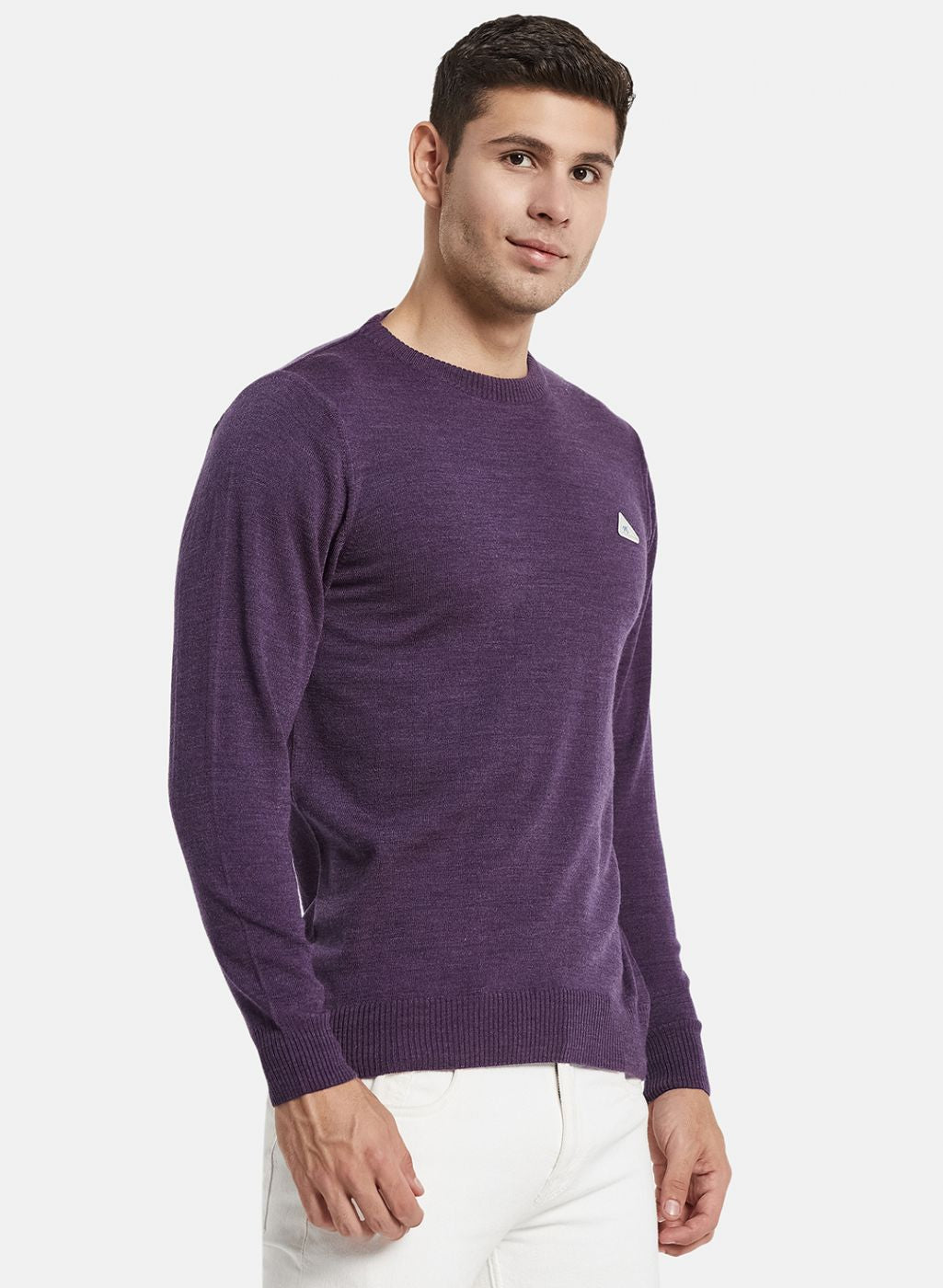 Men Purple Solid Pullover