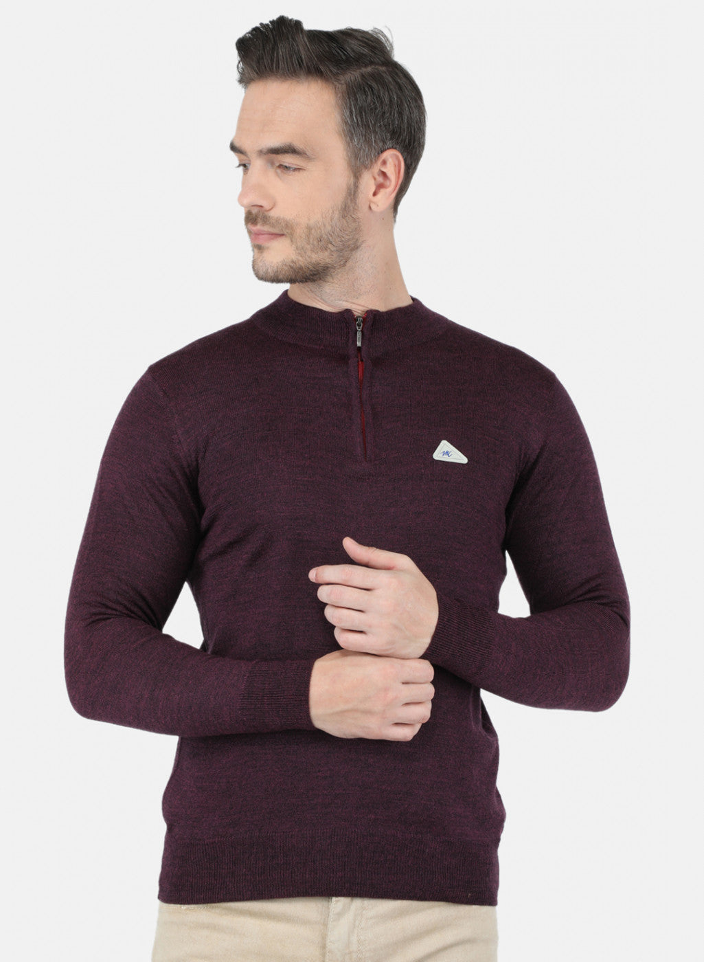 Men Purple Solid Pullover