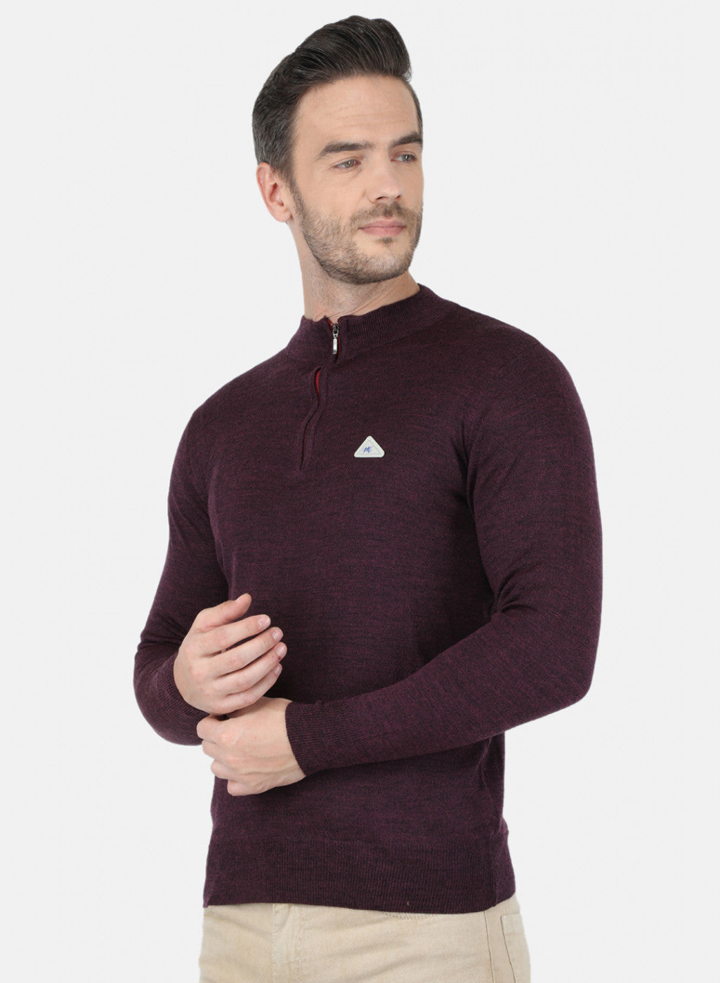 Men Purple Solid Pullover