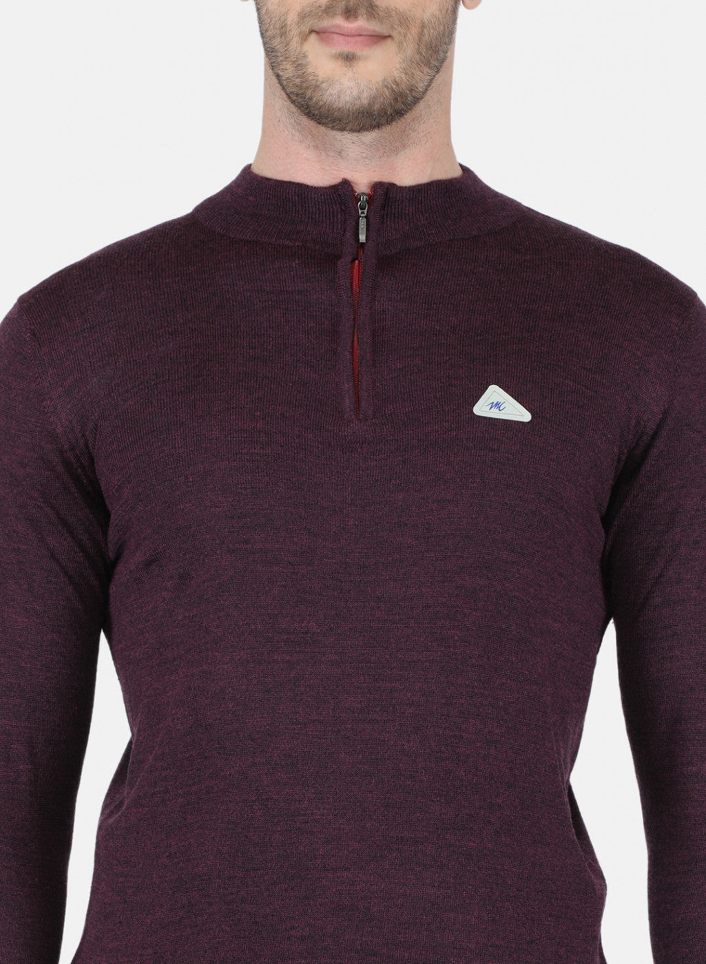 Men Purple Solid Pullover