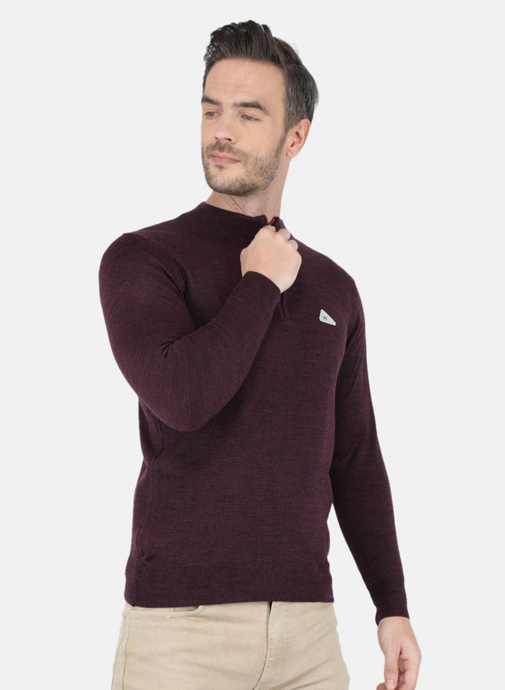 Men Purple Solid Pullover