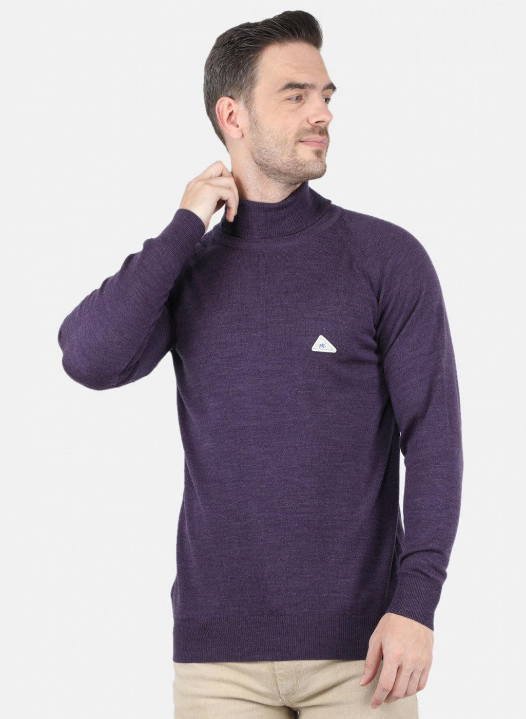 Men Purple Solid Pullover