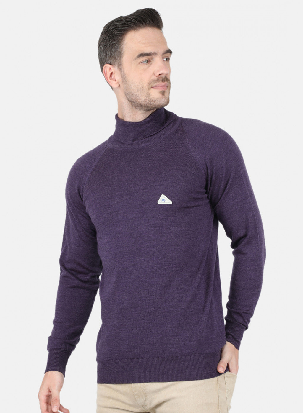 Men Purple Solid Pullover