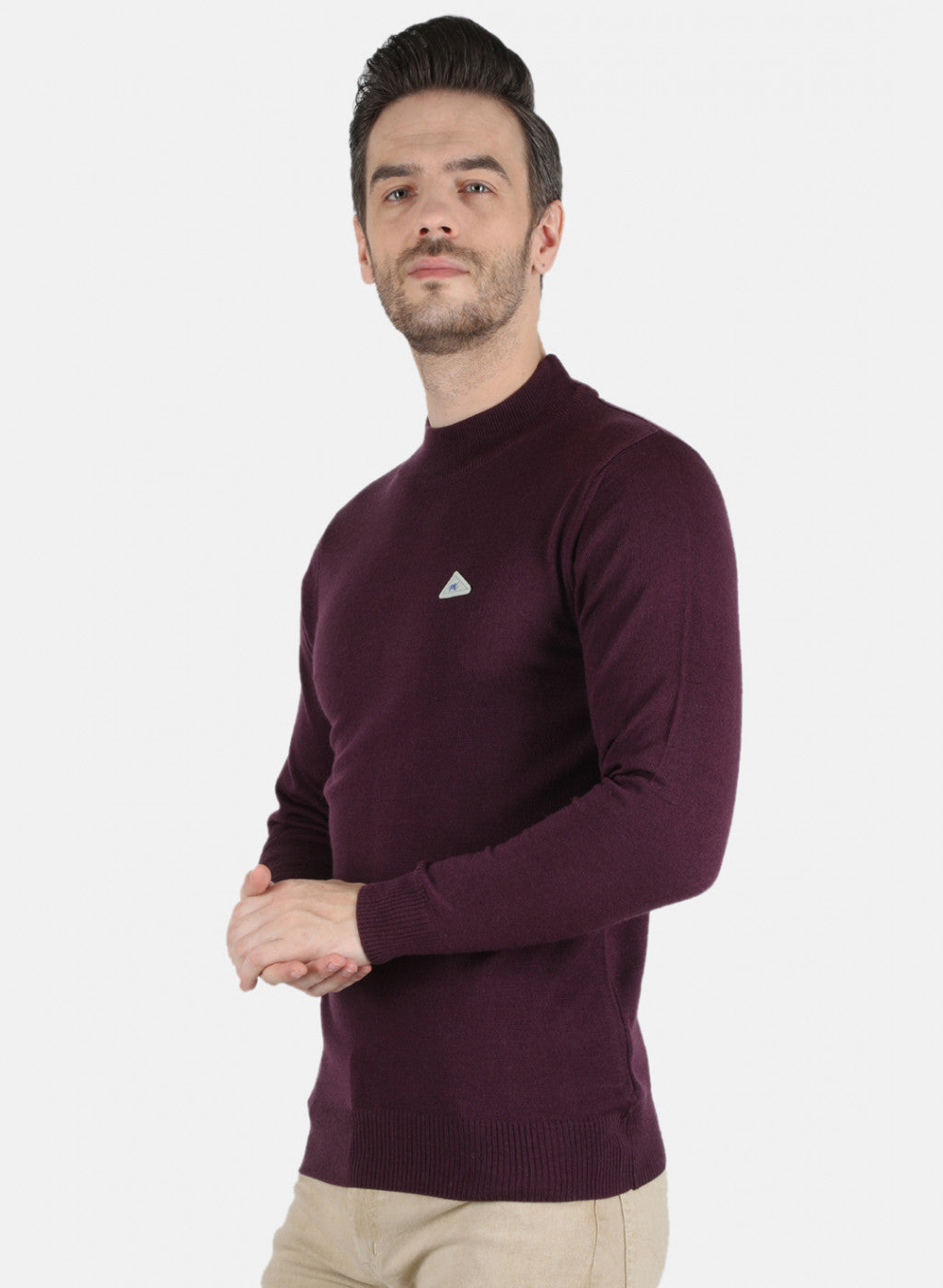 Men Purple Solid Pullover