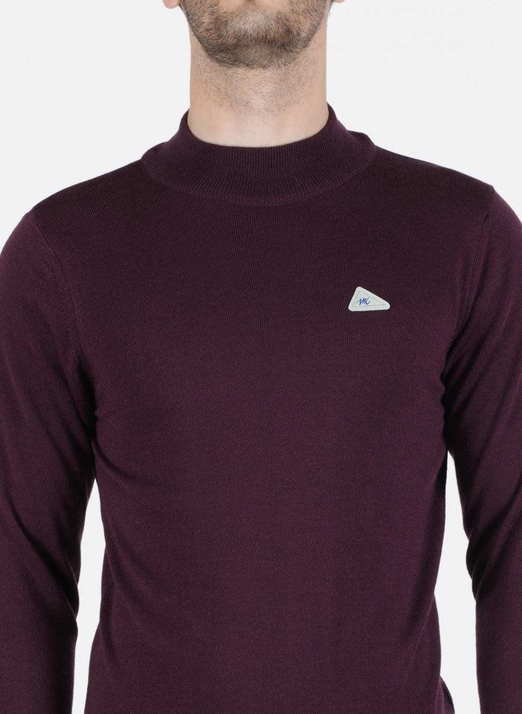 Men Purple Solid Pullover