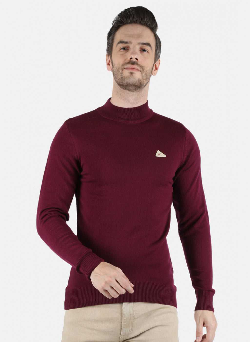 Men Purple Solid Pullover