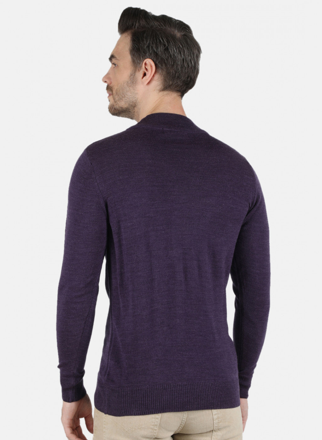 Men Purple Solid Pullover