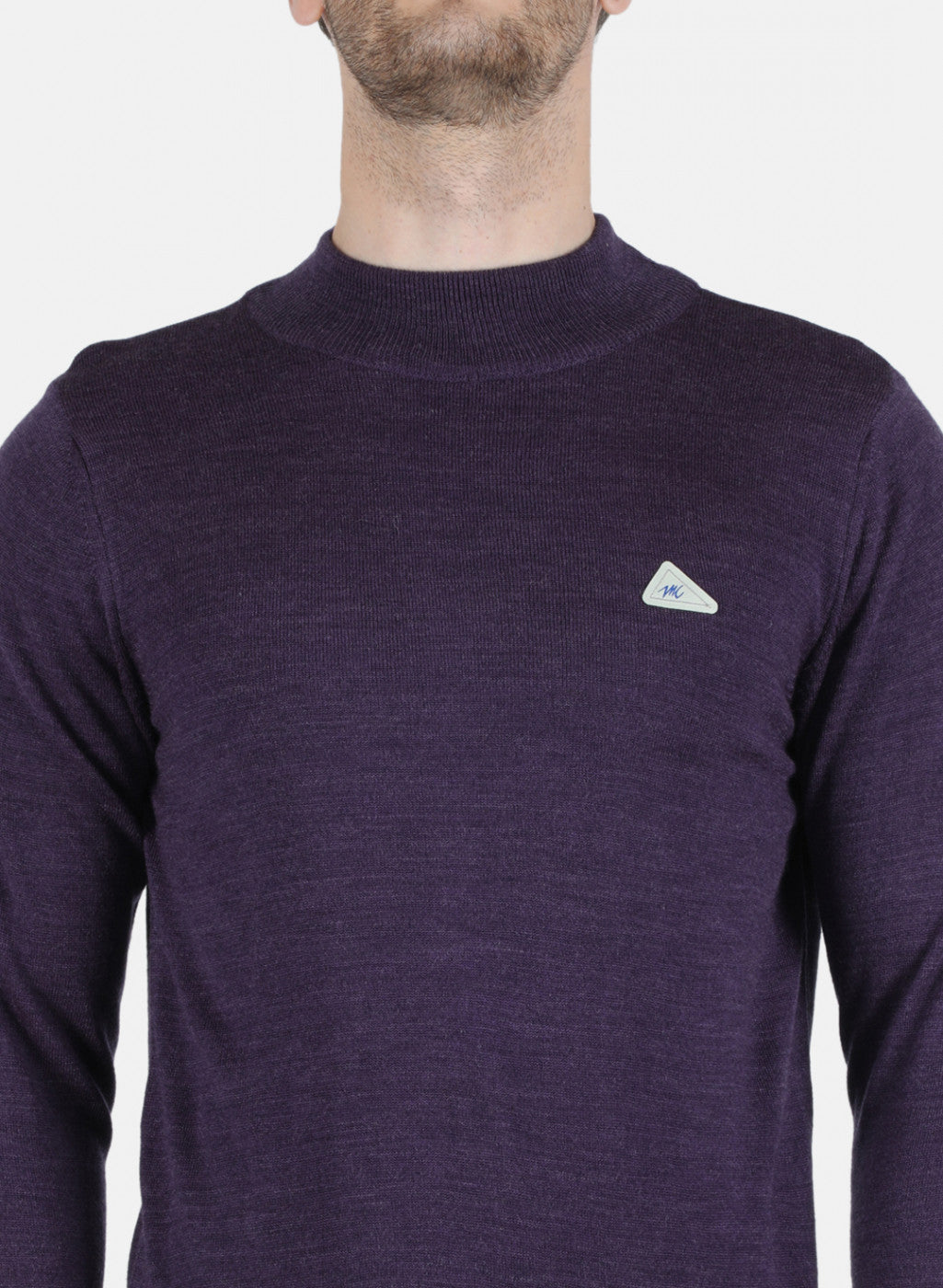 Men Purple Solid Pullover