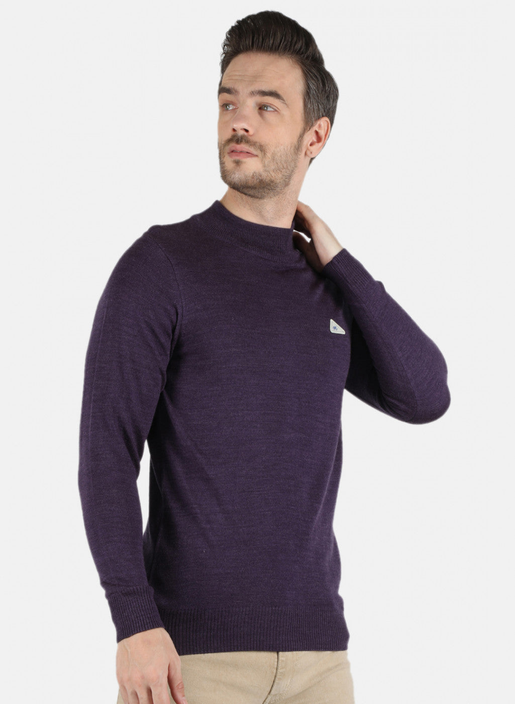 Men Purple Solid Pullover