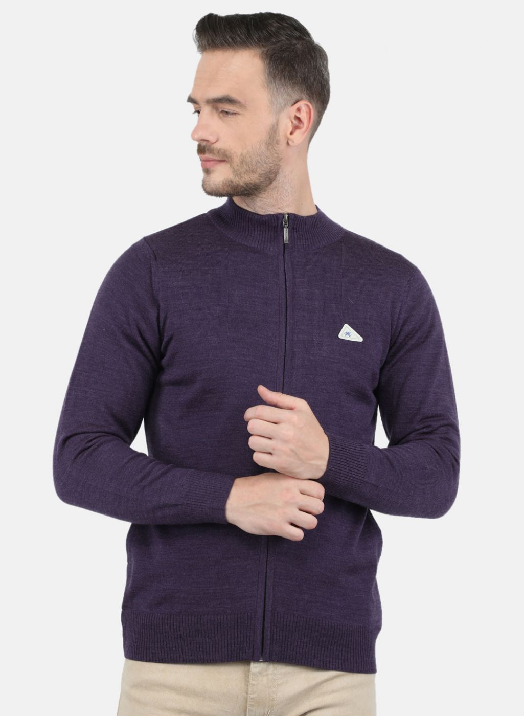 Men Purple Solid Pullover