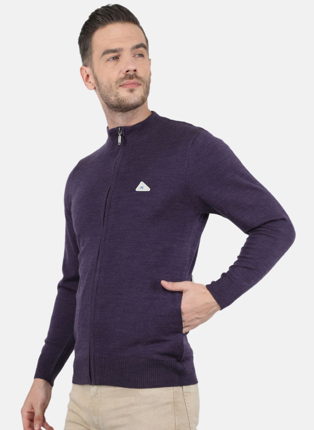 Men Purple Solid Pullover