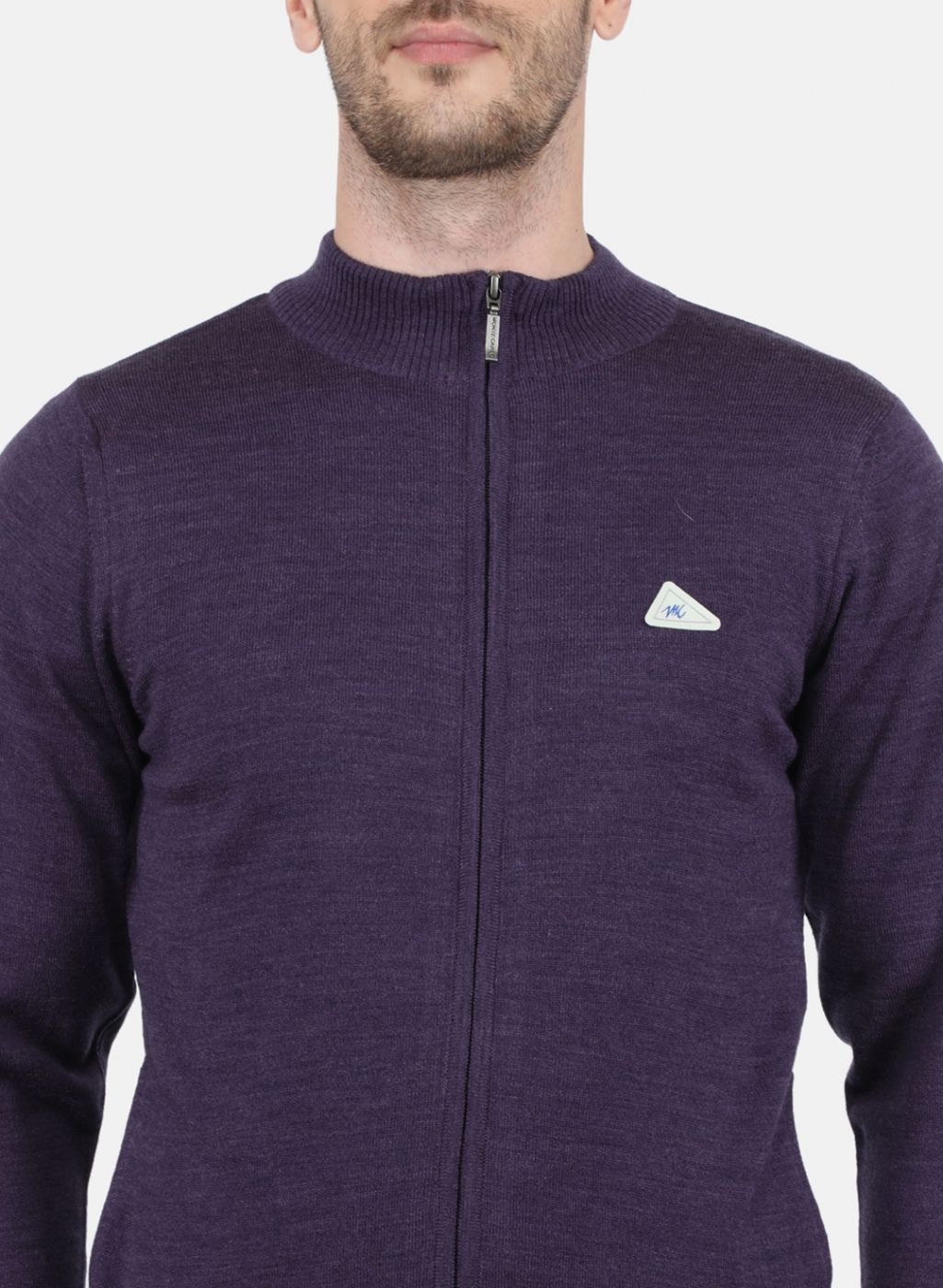 Men Purple Solid Pullover