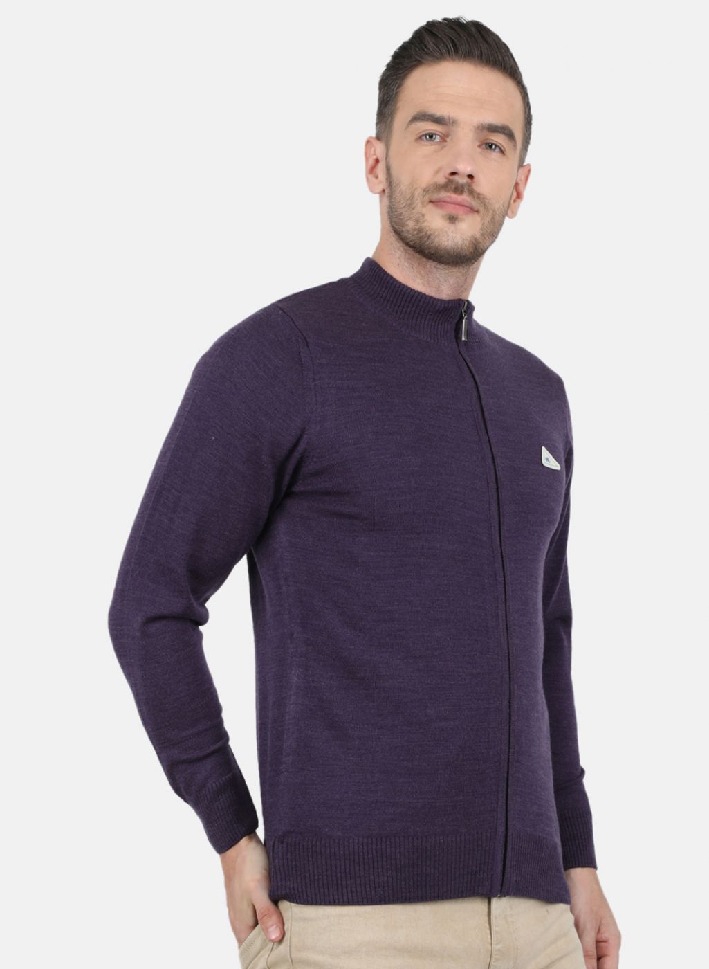 Men Purple Solid Pullover