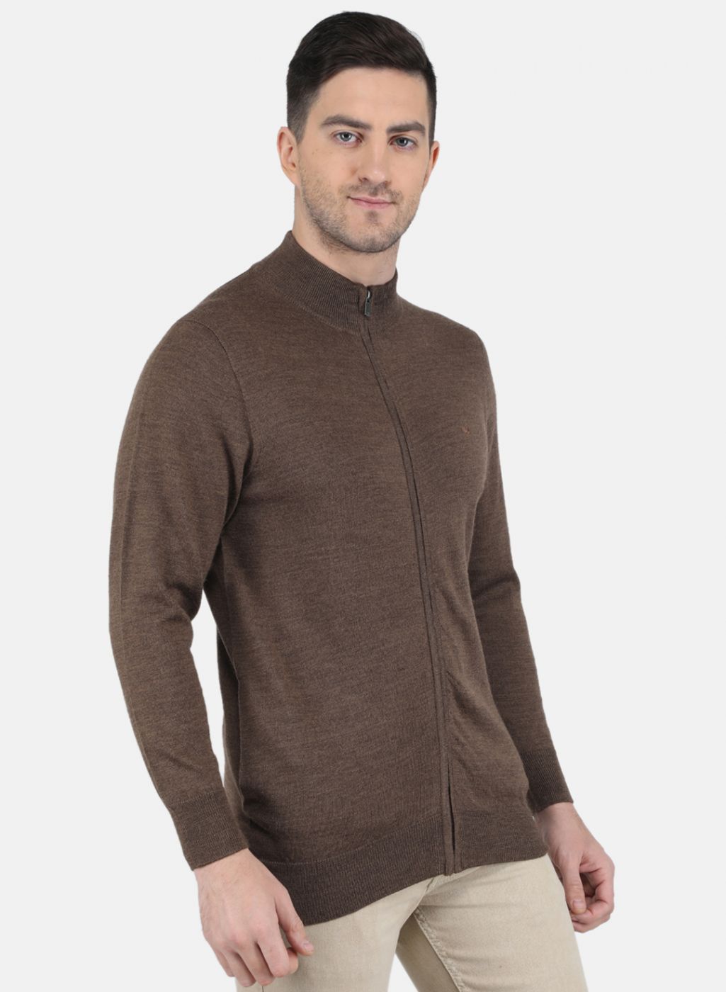 Men Brown Solid Pullover