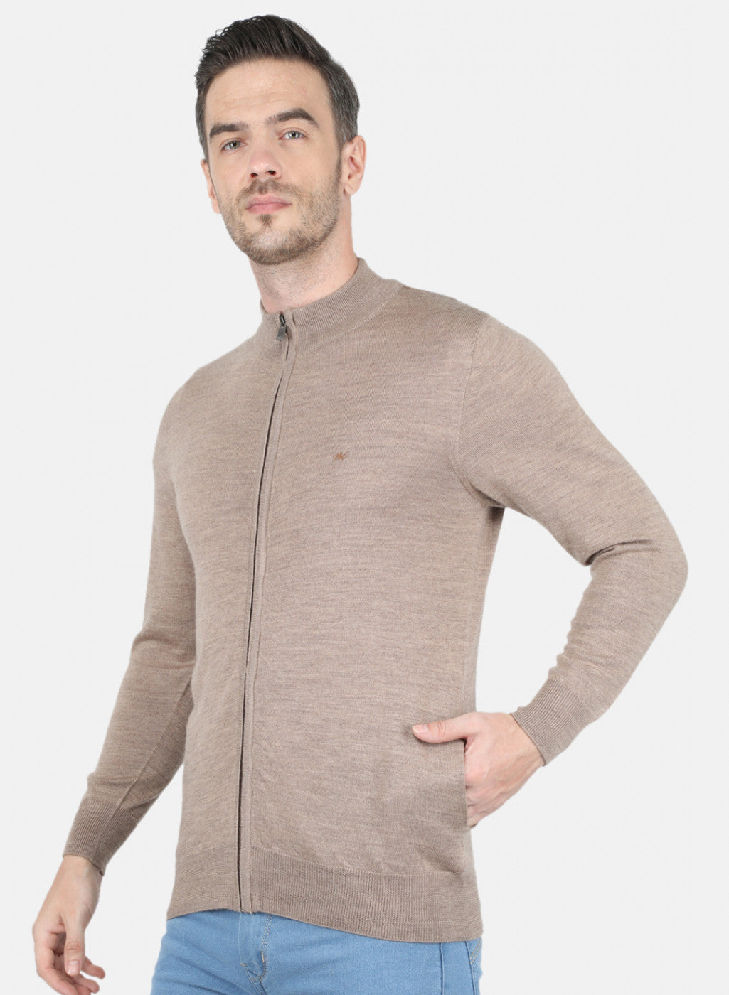 Men Beige Solid Pullover