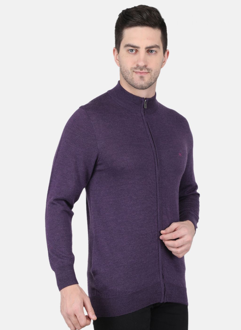 Men Purple Solid Pullover