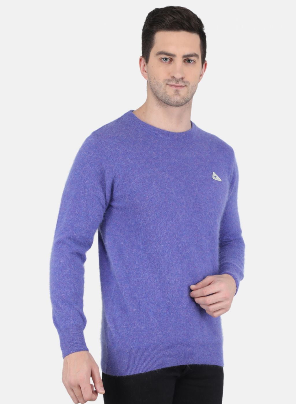 Men Purple Solid Pullover