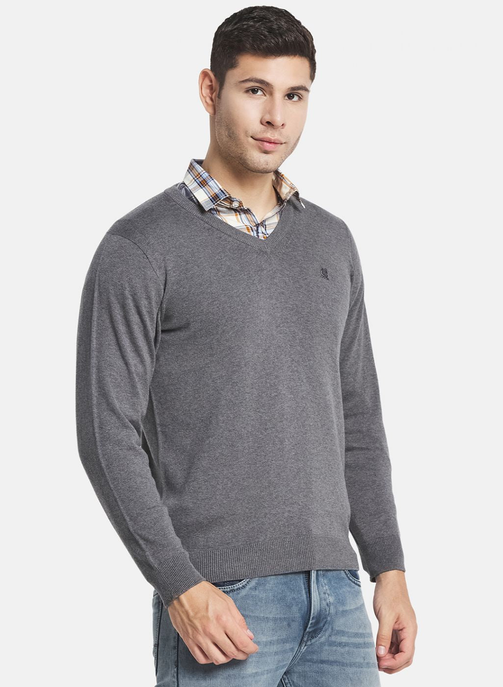 Men Grey Solid Pullover