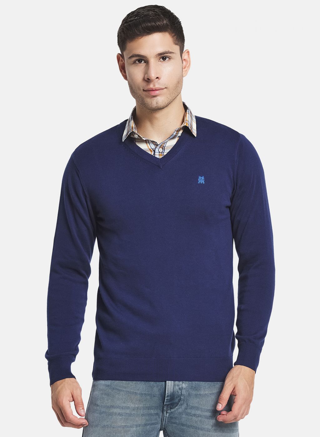 Men Blue Solid Pullover