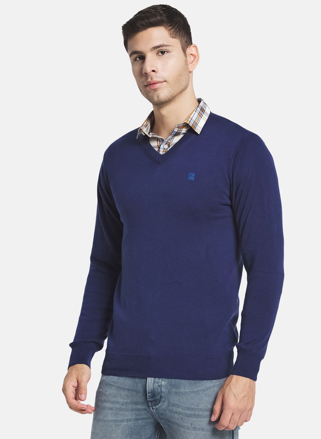 Men Blue Solid Pullover