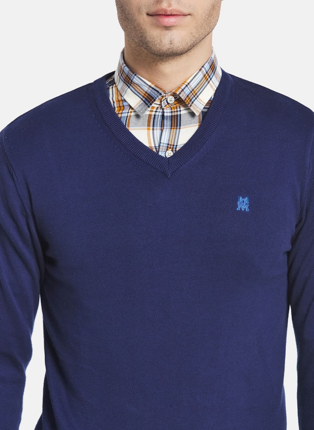 Men Blue Solid Pullover