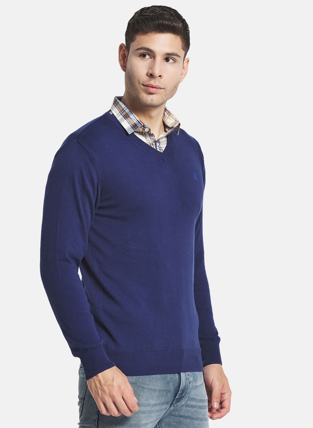 Men Blue Solid Pullover