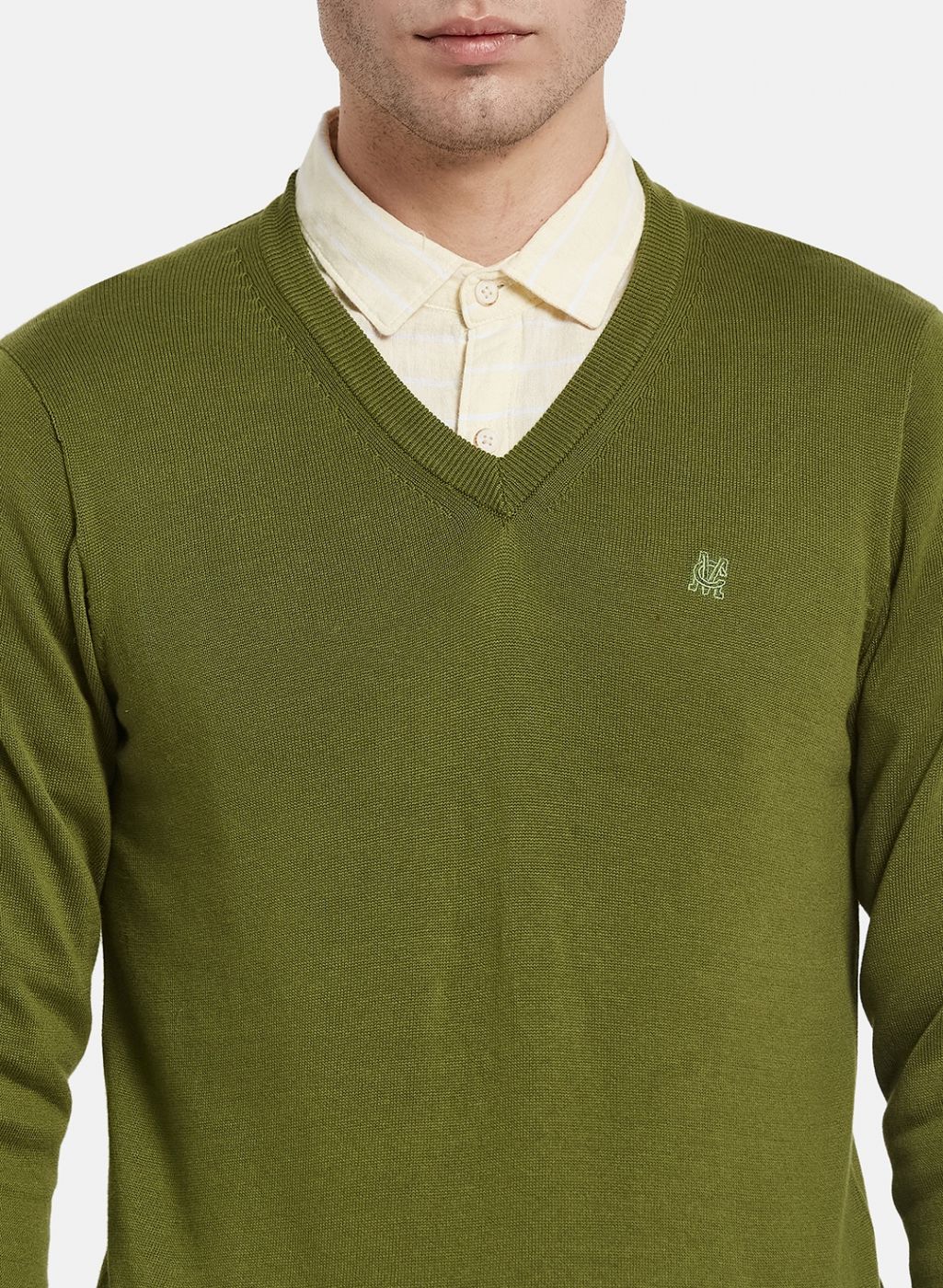 Men Olive Solid Pullover