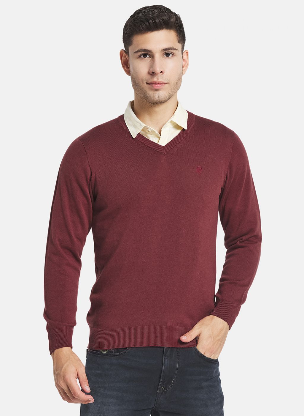 Men Brown Solid Sweater