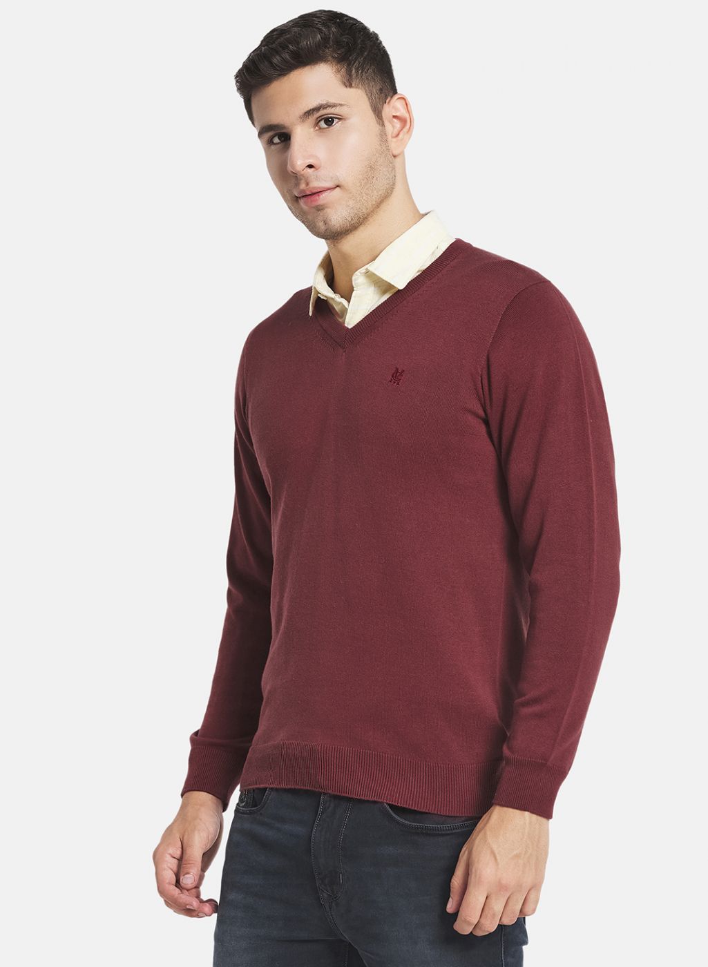 Men Brown Solid Sweater