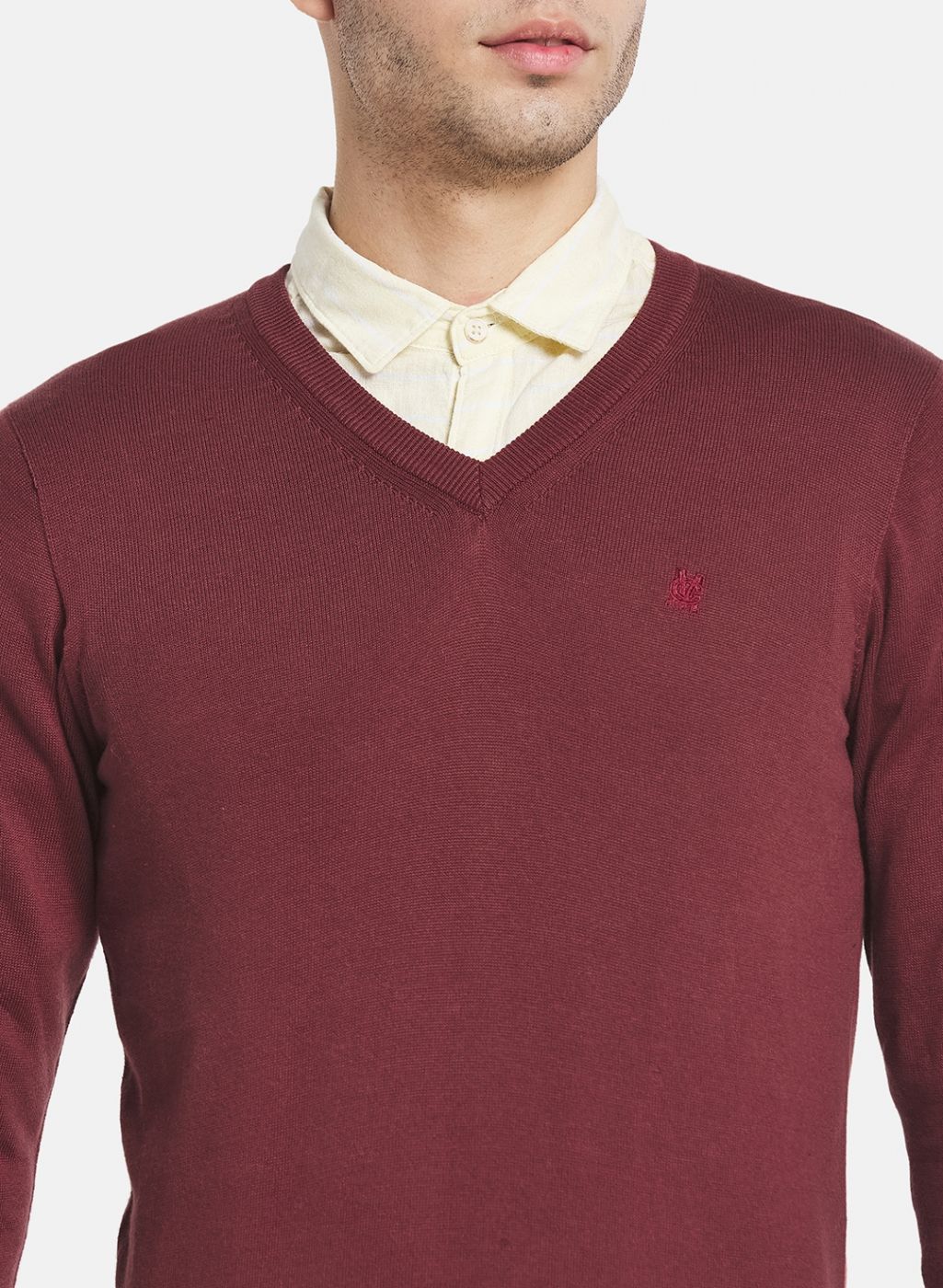 Men Brown Solid Sweater