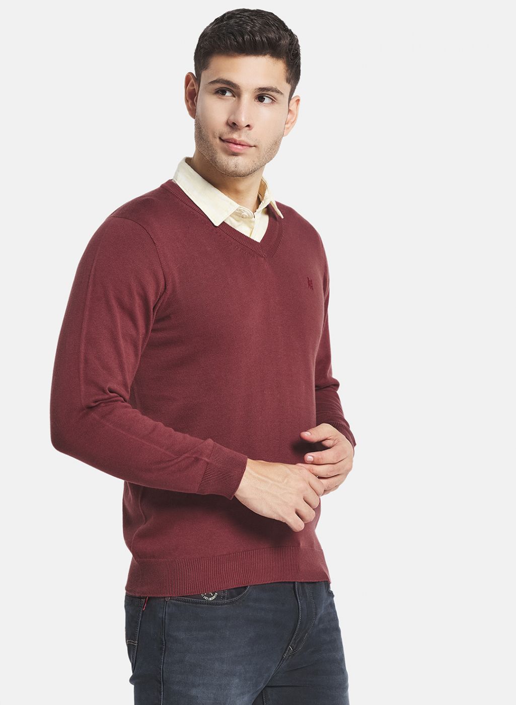 Men Brown Solid Sweater