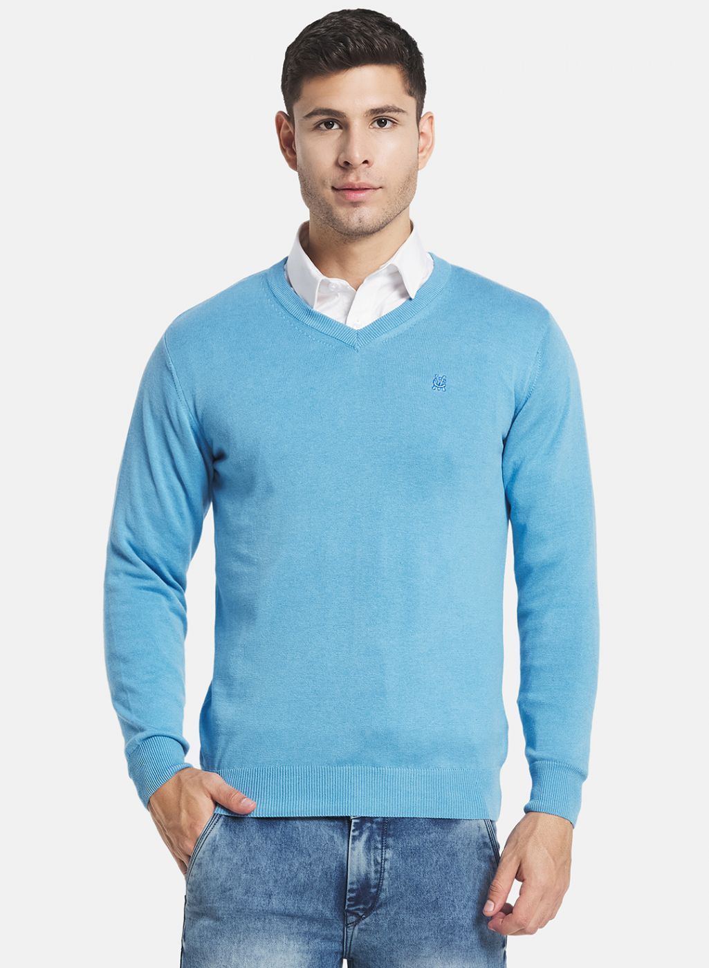 Men Blue Solid Pullover