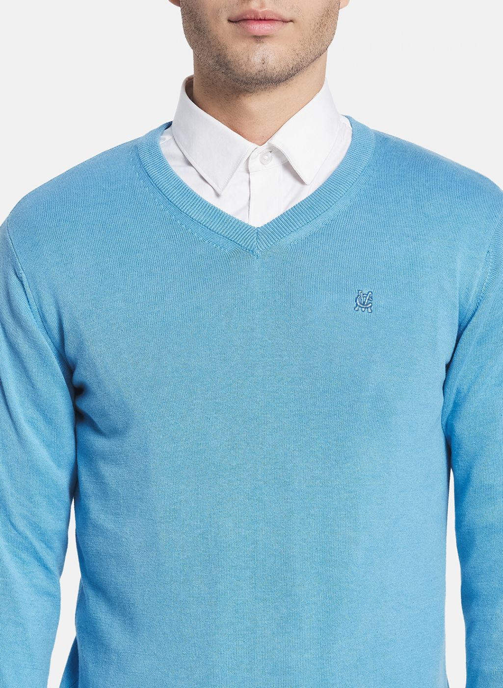 Men Blue Solid Pullover