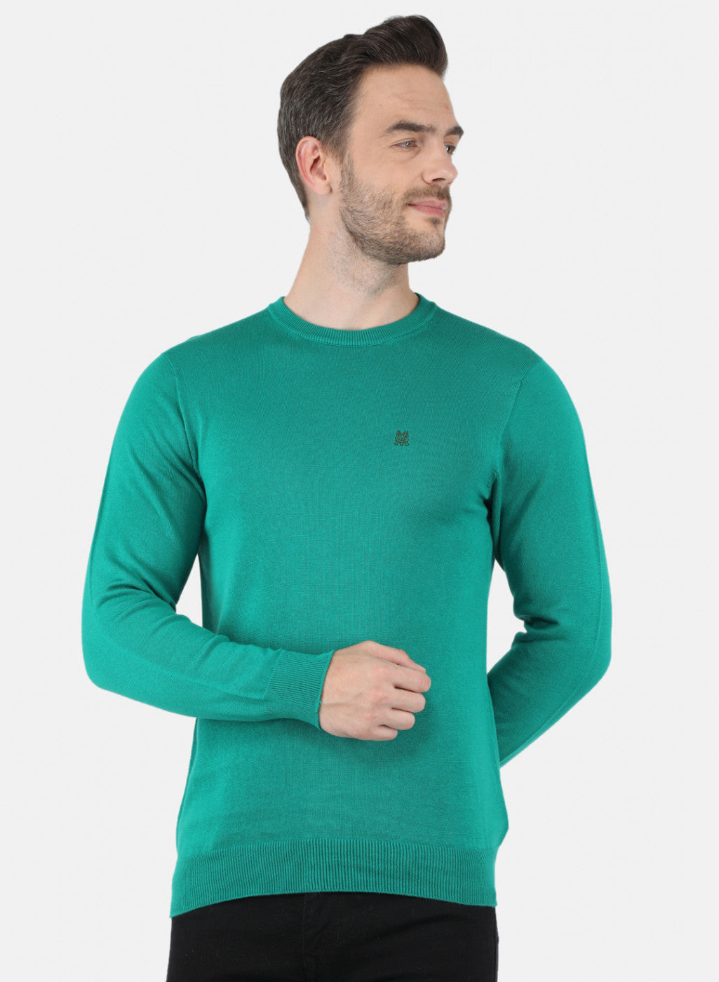 Men Sea Green Solid Pullover