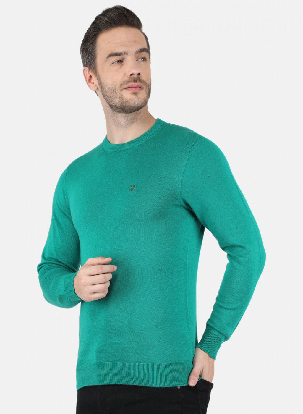 Men Sea Green Solid Pullover