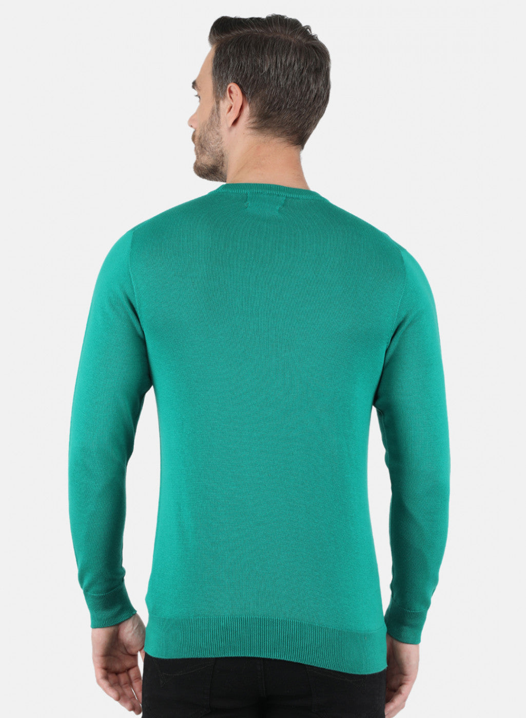 Men Sea Green Solid Pullover