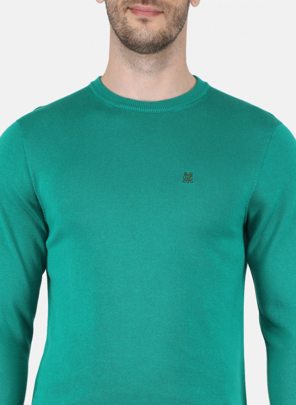 Men Sea Green Solid Pullover