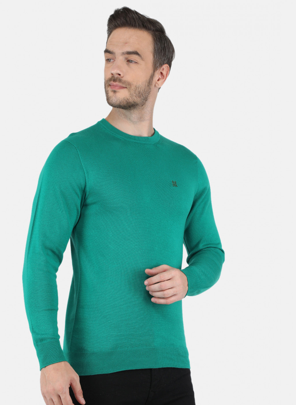 Men Sea Green Solid Pullover