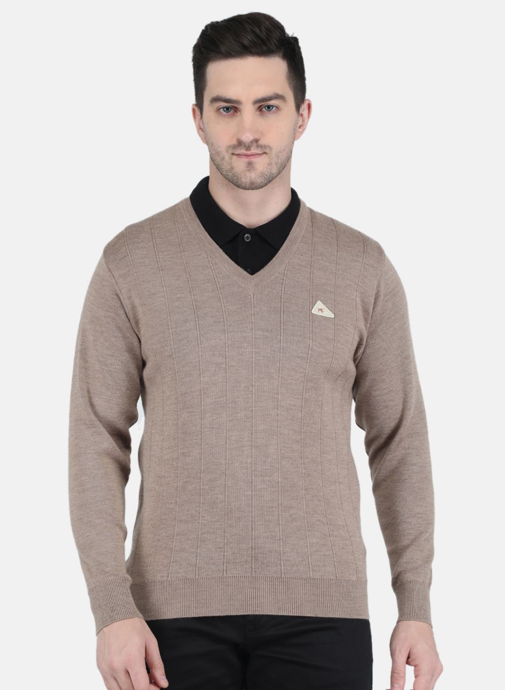 Men Beige Solid Pullover