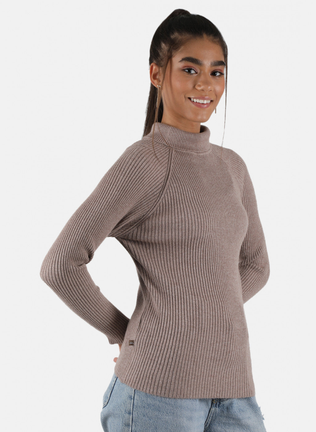 Women Beige Solid Sceavy Top