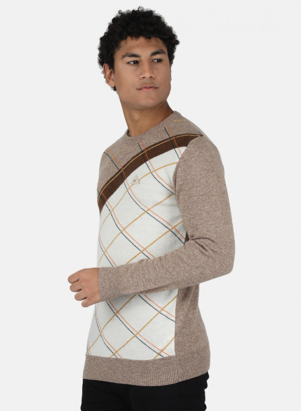 Men Light Brown Printed Pullover