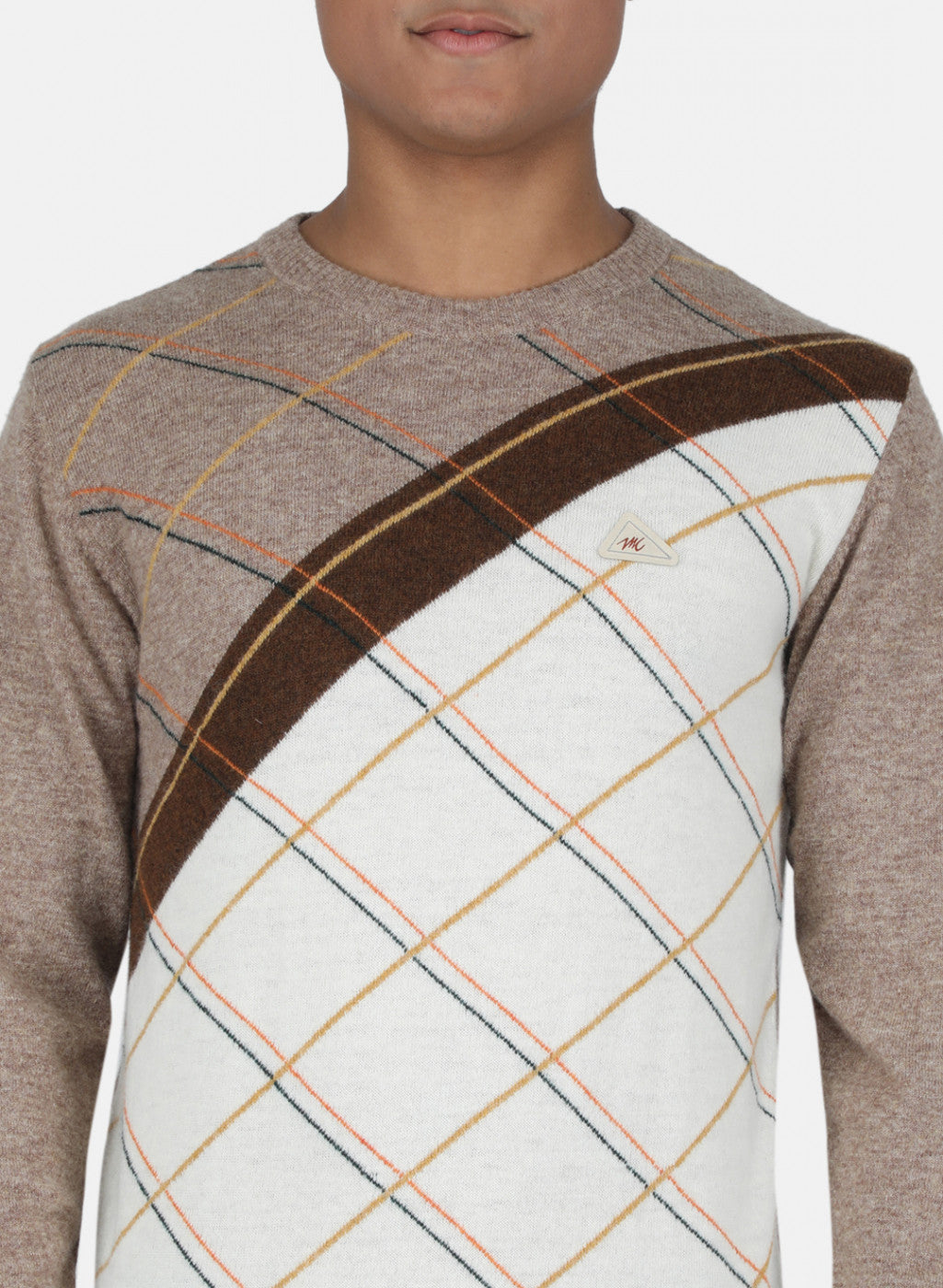 Men Light Brown Printed Pullover