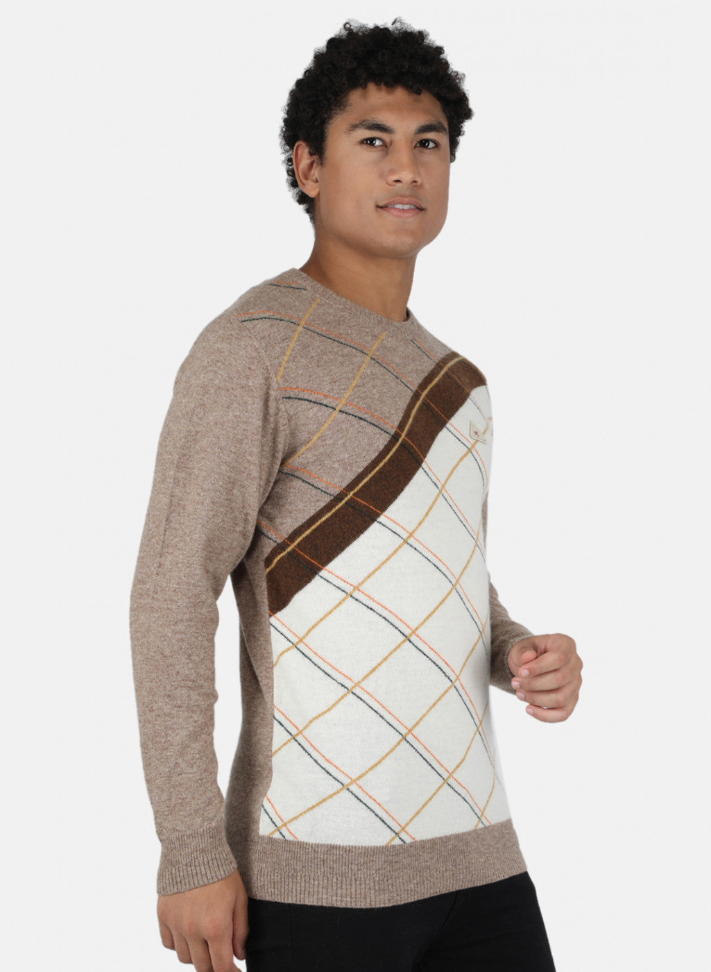 Men Light Brown Printed Pullover