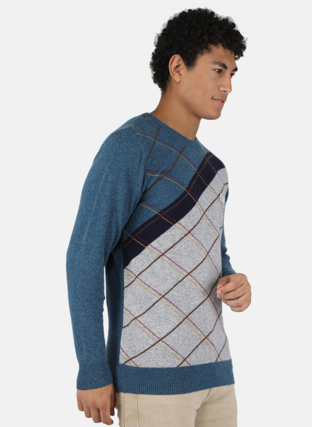 Men Blue Printed Pullover