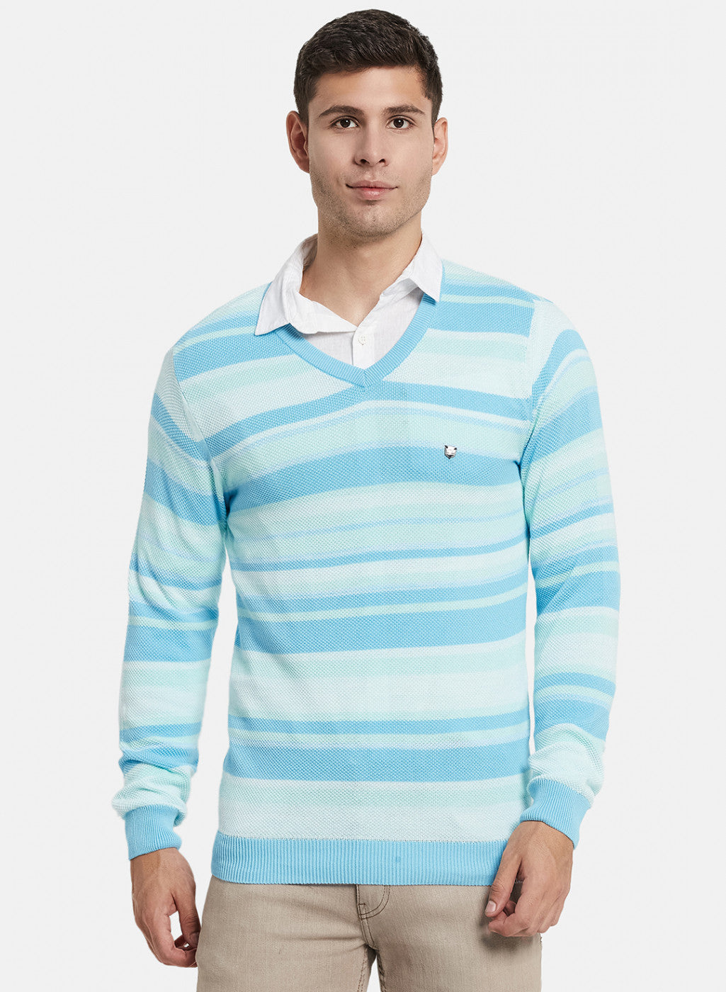 Men Blue Stripe Pullover