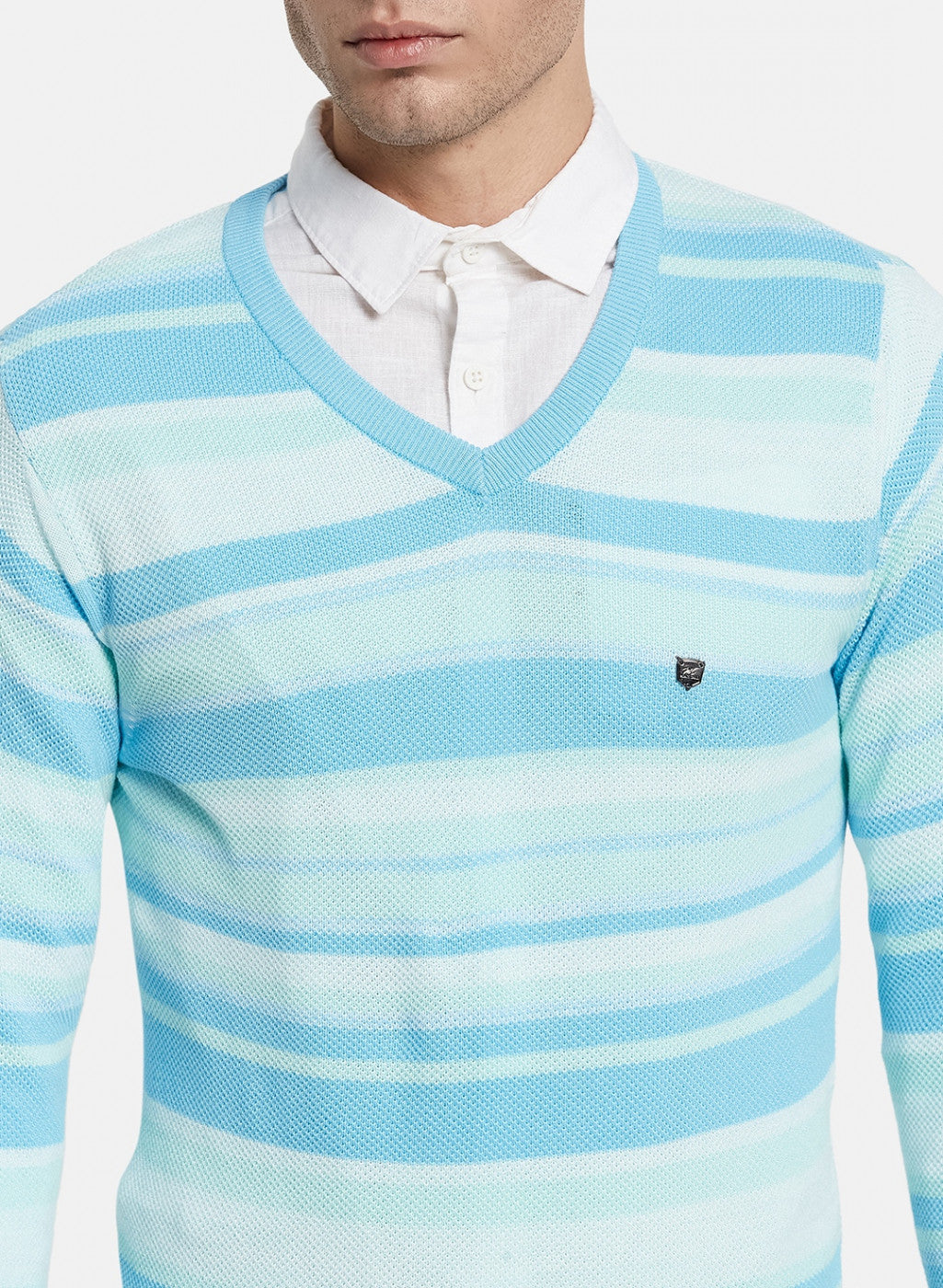 Men Blue Stripe Pullover