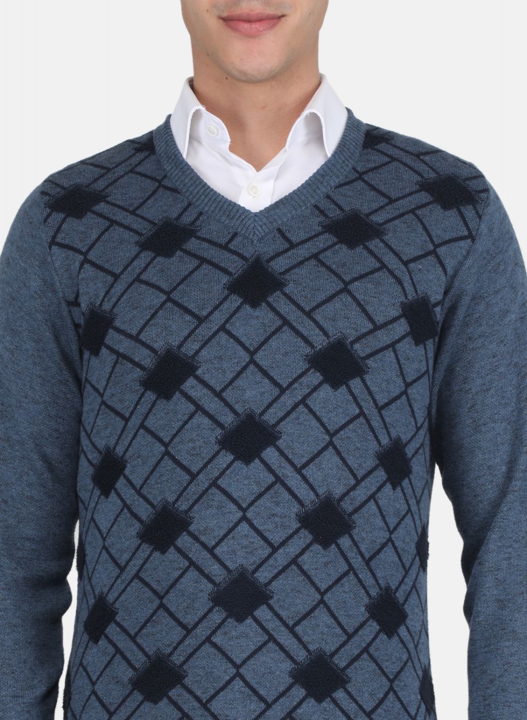 Men Blue Printed Pullover